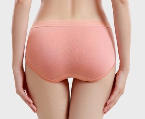 60s Modal and Polylactic Acid Extended Crotch Women's Briefs - 图片 19