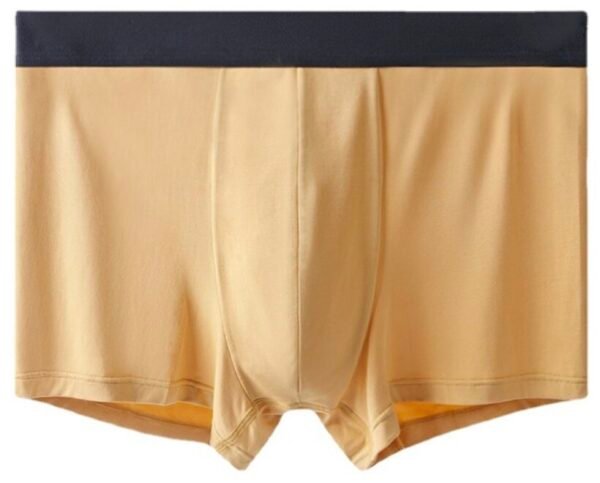 60s Lenzing Modal Men’s Boxer Briefs - 图片 2