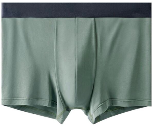 60s Lenzing Modal Men’s Boxer Briefs - 图片 4