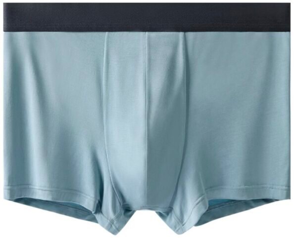 60s Lenzing Modal Men’s Boxer Briefs - 图片 5