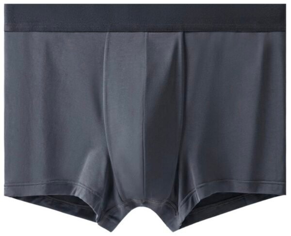60s Lenzing Modal Men’s Boxer Briefs - 图片 6