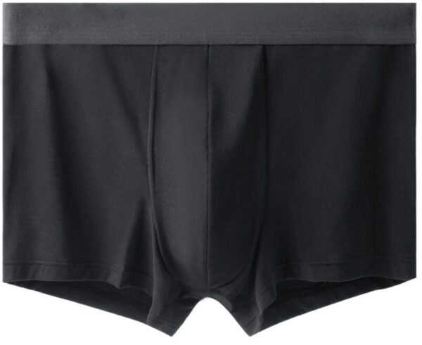 60s Lenzing Modal Men’s Boxer Briefs - 图片 7