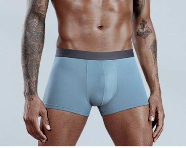 60s Lenzing Modal Men’s Boxer Briefs - 图片 8