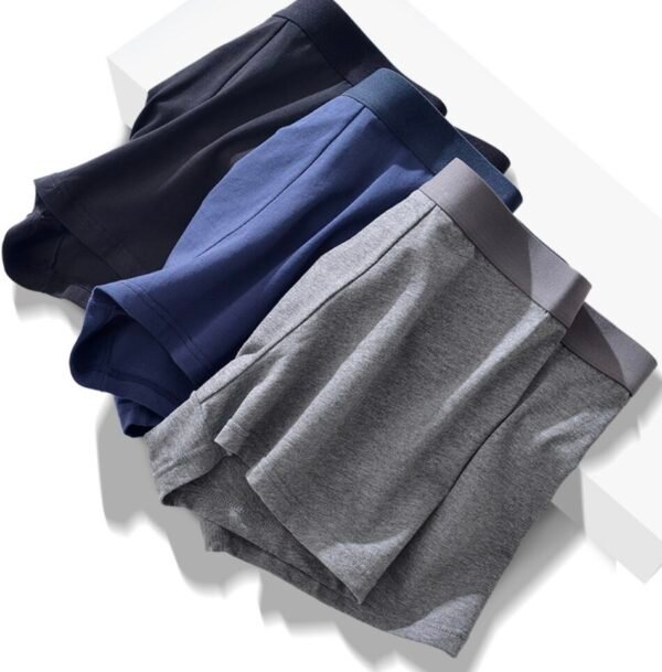 50s Long-Staple Cotton Men's Boxer Briefs - 图片 7