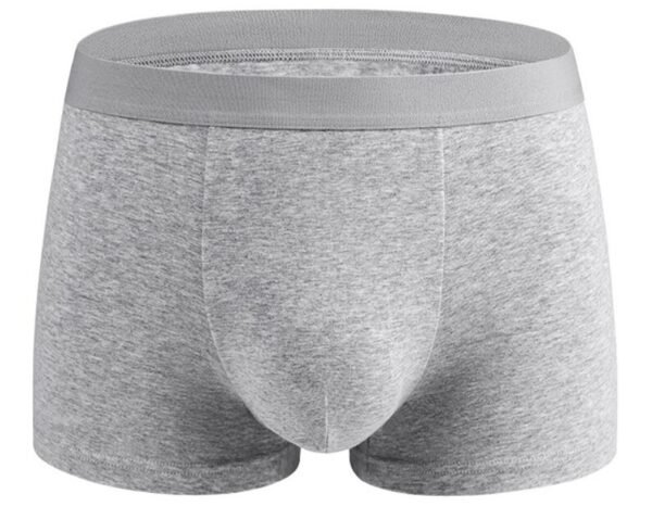 50s Long-Staple Cotton Men's Boxer Briefs - 图片 6