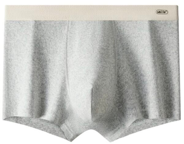 50s Long Staple Cotton Men’s Boxer Briefs - 图片 5