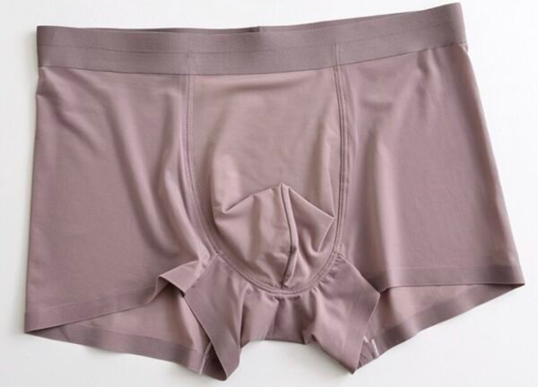 Seamless Ice Silk Men's Boxer Briefs - 图片 4