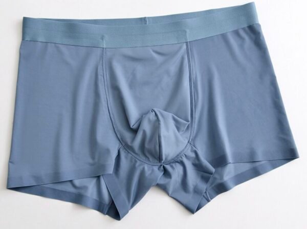 Seamless Ice Silk Men's Boxer Briefs - 图片 3