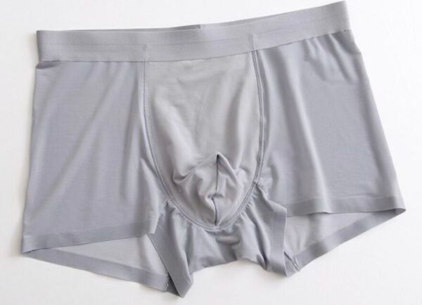 Seamless Ice Silk Men's Boxer Briefs - 图片 6