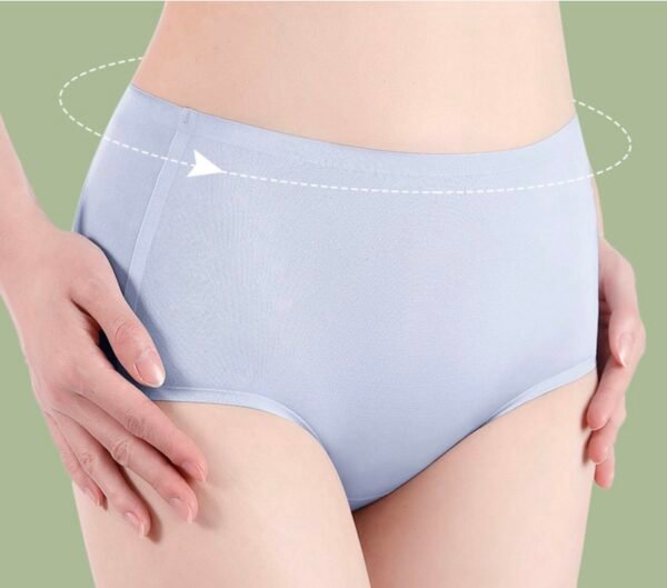 Women's Ice Silk High-Waist Seamless Briefs - 图片 9