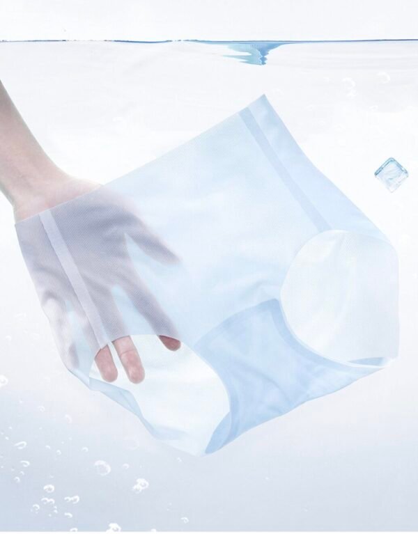 Women's Ultra-Thin Seamless Briefs - 图片 15