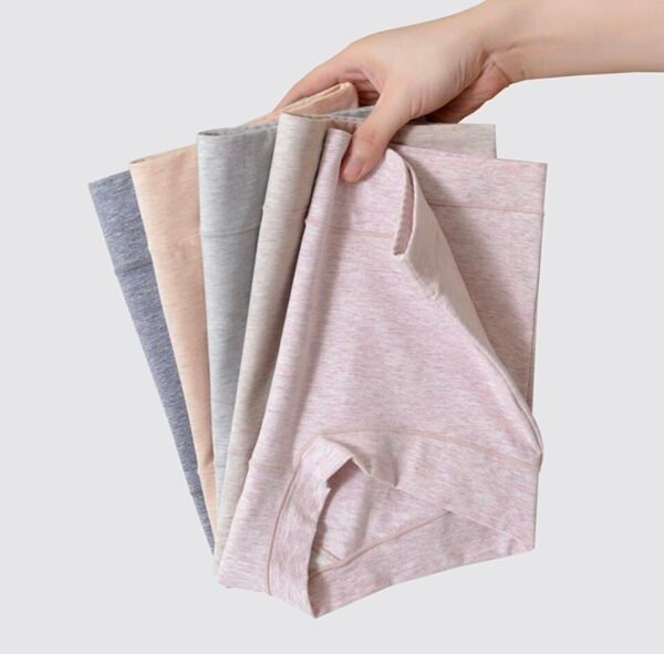 60S long-staple cotton high-waist Women's Briefs - 图片 7